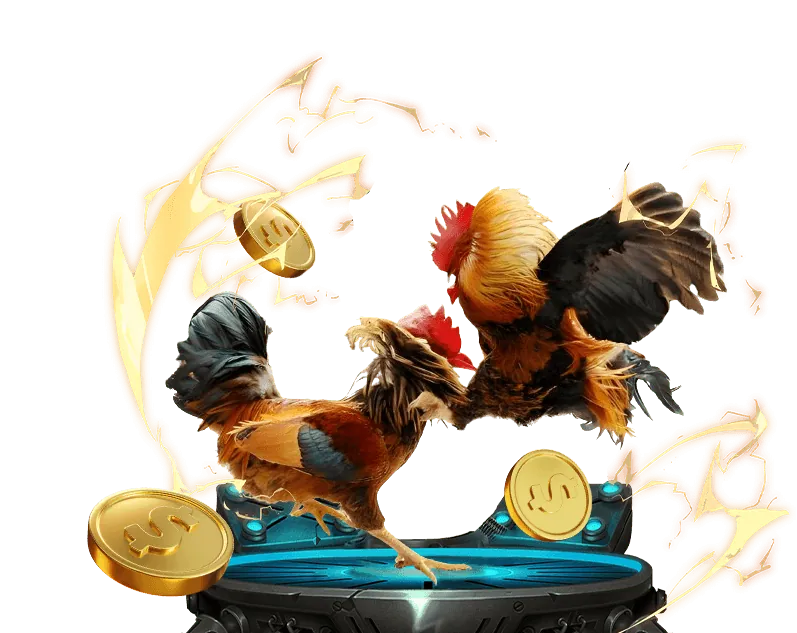 Hoàn Trả Đá Gà Hàng Tuần